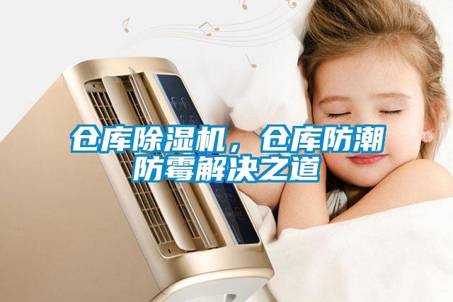 仓库91抖音免费看片，仓库防潮防霉解决之道