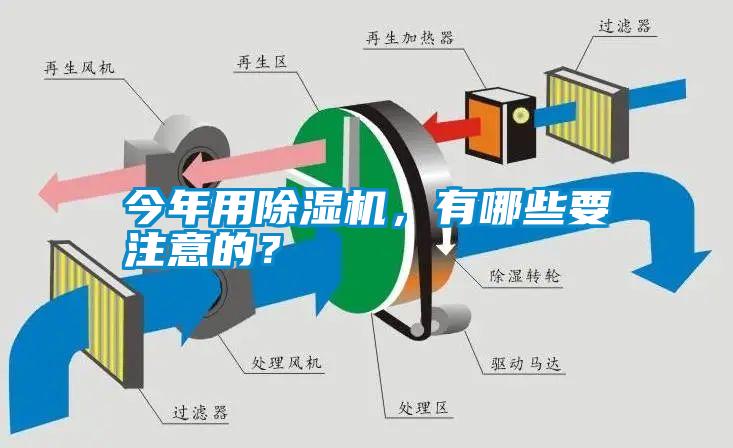 今年用91抖音免费看片，有哪些要注意的？