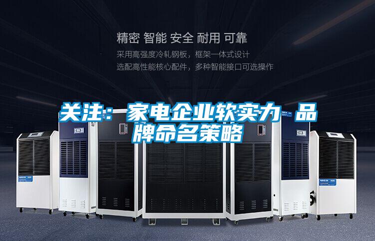 关注：家电企业软实力 品牌命名策略