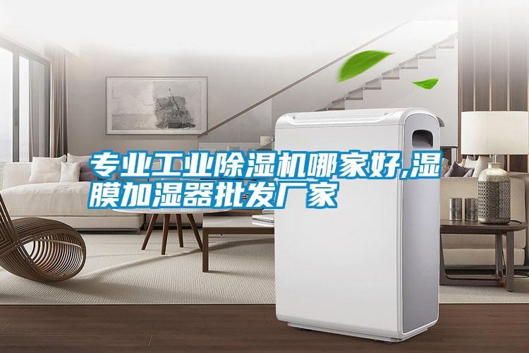 专业工业91抖音免费看片哪家好,湿膜加湿器批发厂家