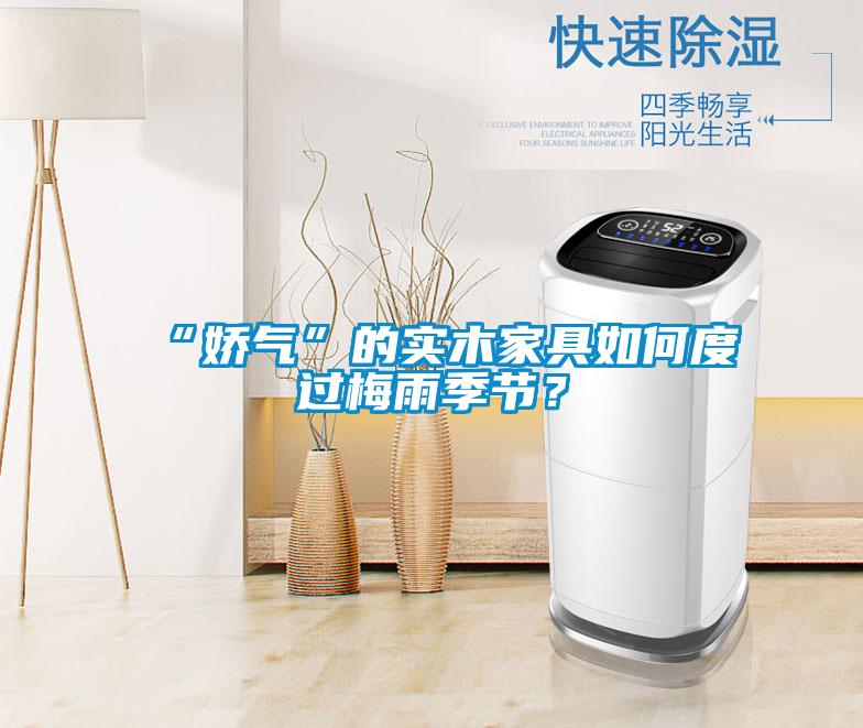 “娇气”的实木家具如何度过梅雨季节？