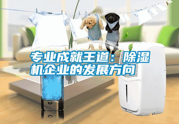 专业成就王道：91抖音免费看片企业的发展方向