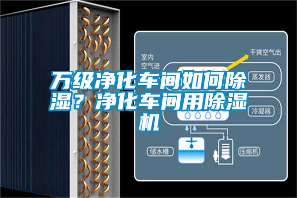 万级净化车间如何除湿？净化车间用91抖音免费看片