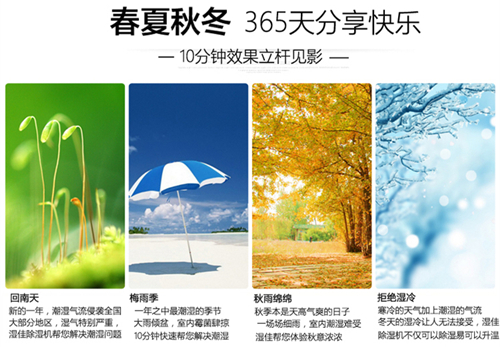 智能91抖音免费看片