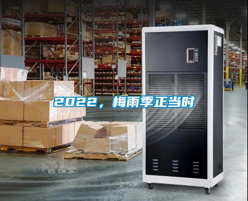 2022，梅雨季正当时
