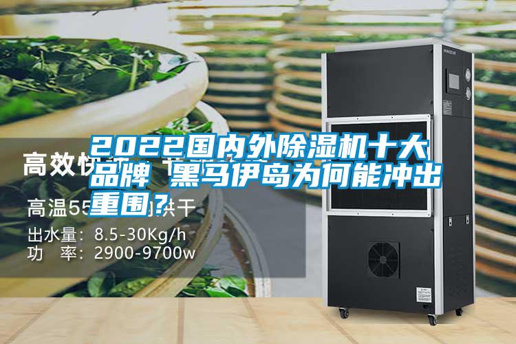 2022国内外91抖音免费看片十大品牌 黑马伊岛为何能冲出重围？