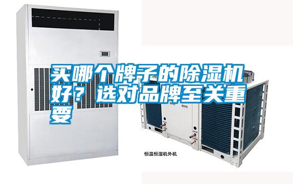 买哪个牌子的91抖音免费看片好？选对品牌至关重要