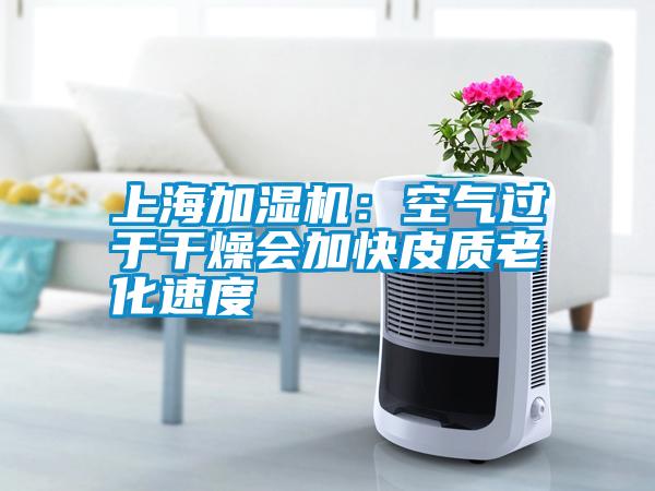 上海加湿机：空气过于干燥会加快皮质老化速度