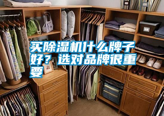 买91抖音免费看片什么牌子好？选对品牌很重要