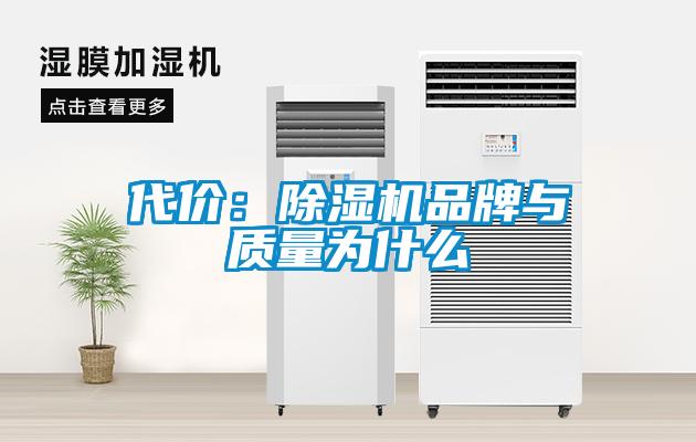 代价：91抖音免费看片品牌与质量为什么