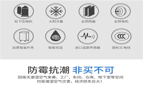 为什么房子潮湿会有危害？