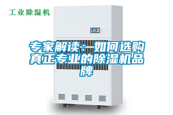 专家解读：如何选购真正专业的91抖音免费看片品牌