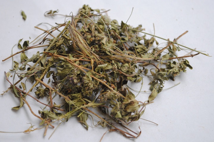 成人抖音在线下载烘干机
