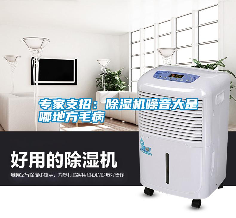 专家支招：91抖音免费看片噪音大是哪地方毛病
