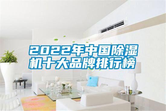 2022年中国91抖音免费看片十大品牌排行榜