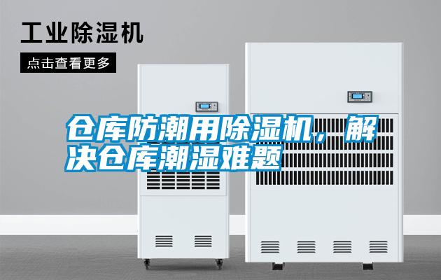 仓库防潮用91抖音免费看片，解决仓库潮湿难题