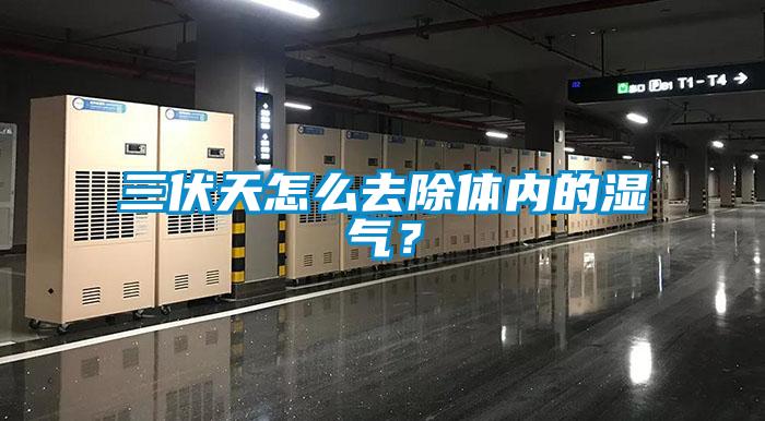 三伏天怎么去除体内的湿气？