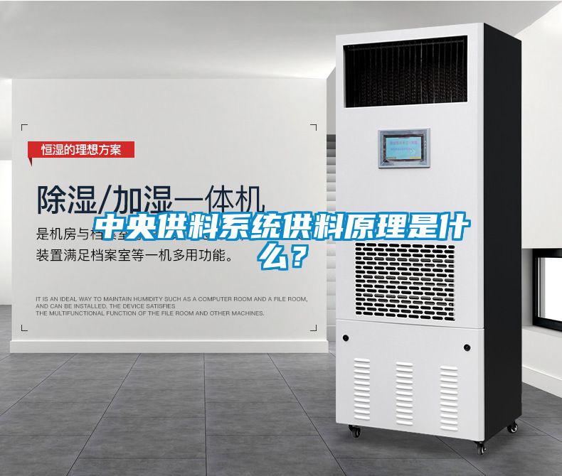 中央供料系统供料原理是什么？