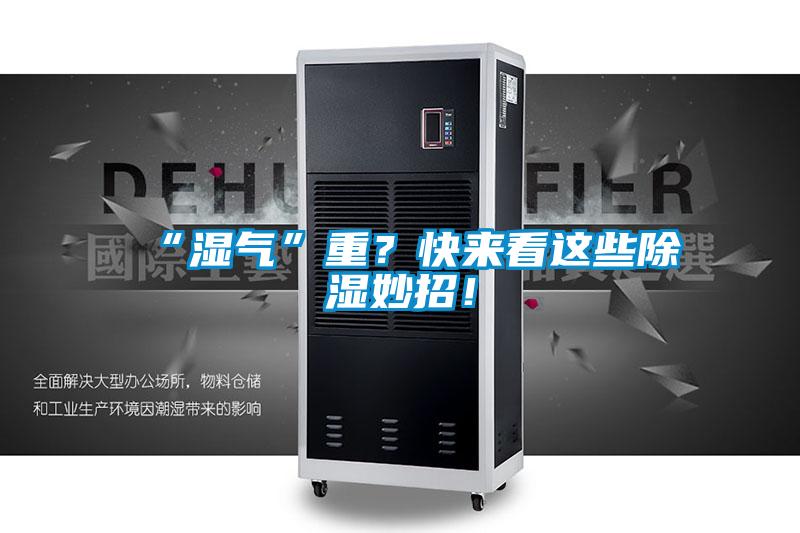 “湿气”重？快来看这些除湿妙招！