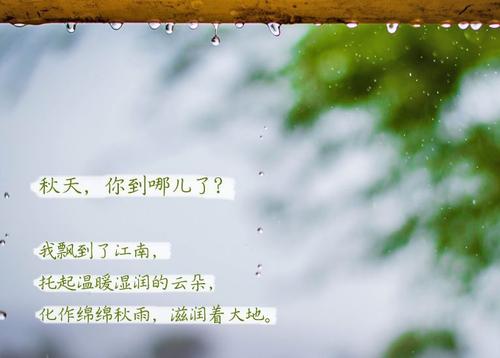 91抖音免费看片