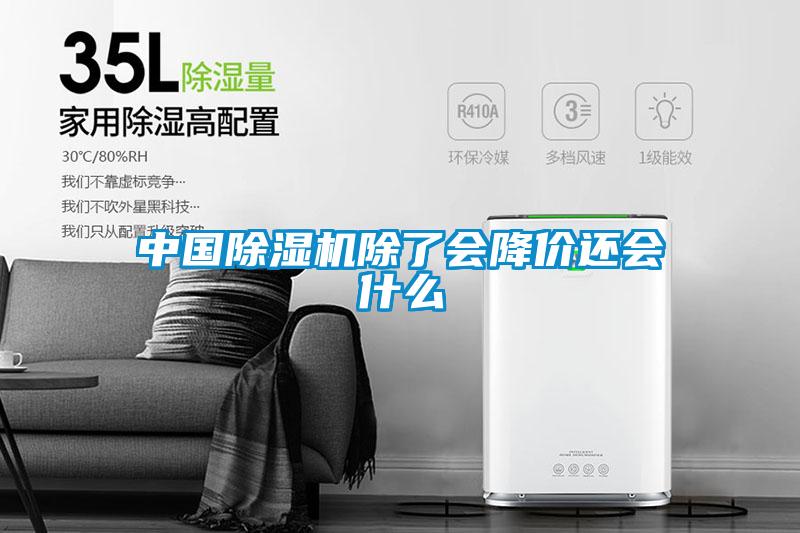 中国91抖音免费看片除了会降价还会什么