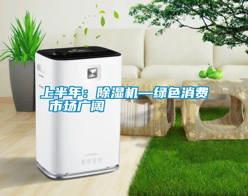 上半年：91抖音免费看片—绿色消费 市场广阔