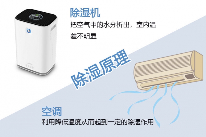 南方梅雨季，怎样不让“霉运”肆无忌惮？