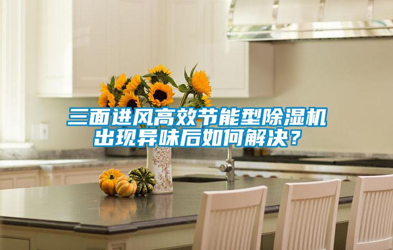 三面进风高效节能型91抖音免费看片出现异味后如何解决？