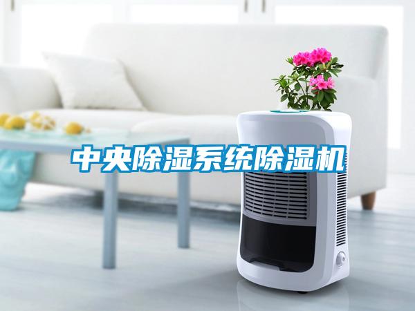 中央除湿系统91抖音免费看片