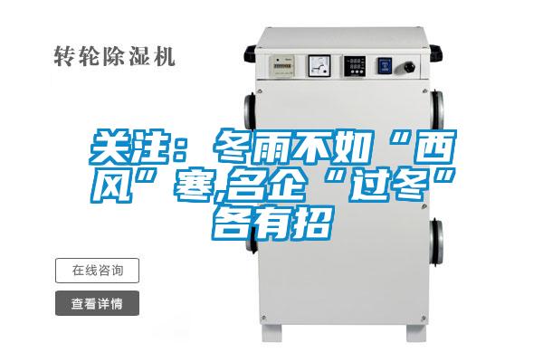 关注：冬雨不如“西风”寒,名企“过冬”各有招