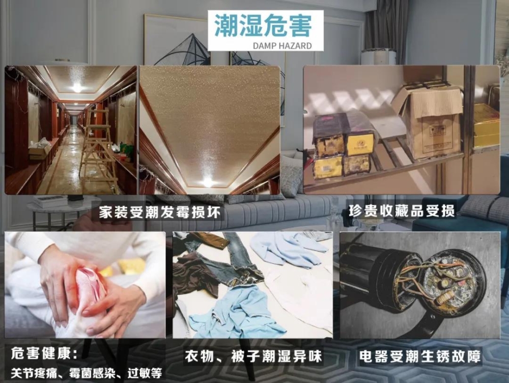 91抖音免费看片