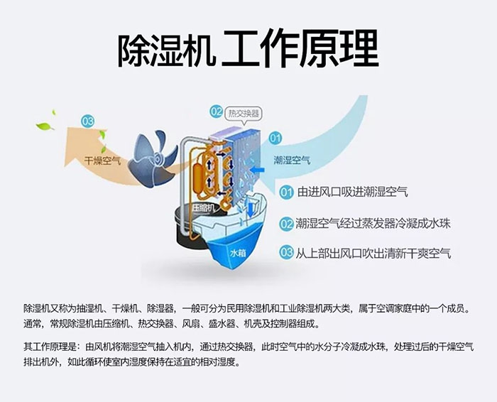 南方梅雨季到了房屋墙壁渗水、返潮怎么办？