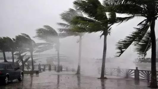 8月台风雨即将来，91抖音免费看片还得用起来