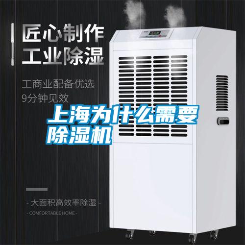 上海为什么需要91抖音免费看片
