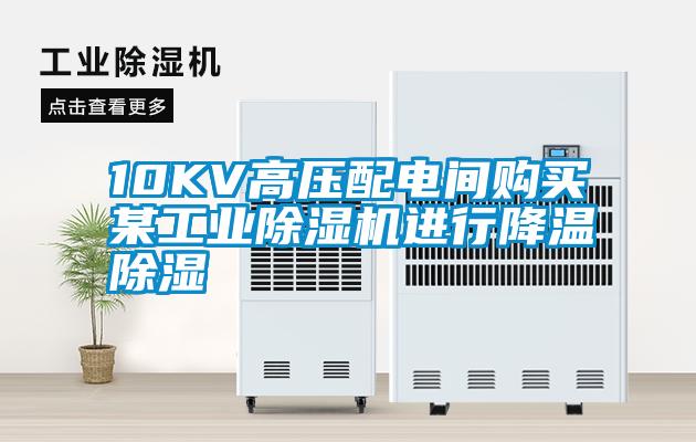 10KV高压配电间购买某工业91抖音免费看片进行降温除湿