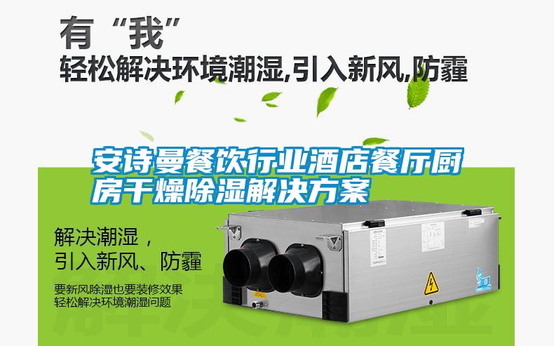 成人抖音在线下载餐饮行业酒店餐厅厨房干燥除湿成人抖音APP污下载