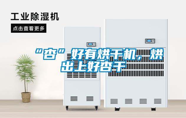 “杏”好有烘干机，烘出上好杏干