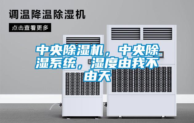 中央91抖音免费看片，中央除湿系统，湿度由我不由天