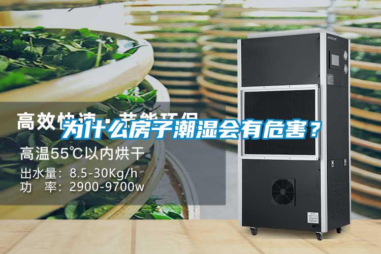 为什么房子潮湿会有危害？