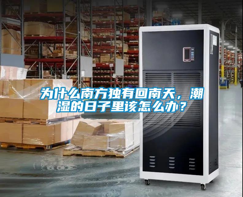 为什么南方独有回南天，潮湿的日子里该怎么办？