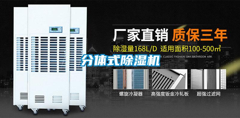 分体式91抖音免费看片