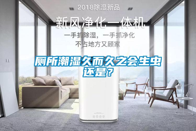 厕所潮湿久而久之会生虫还是？