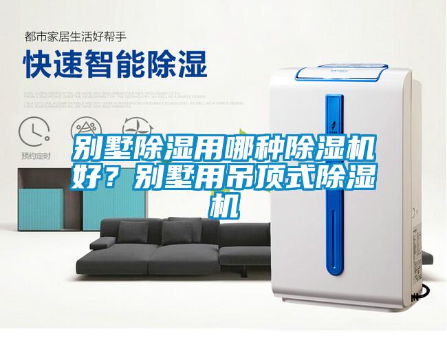 别墅除湿用哪种91抖音免费看片好？别墅用吊顶式91抖音免费看片