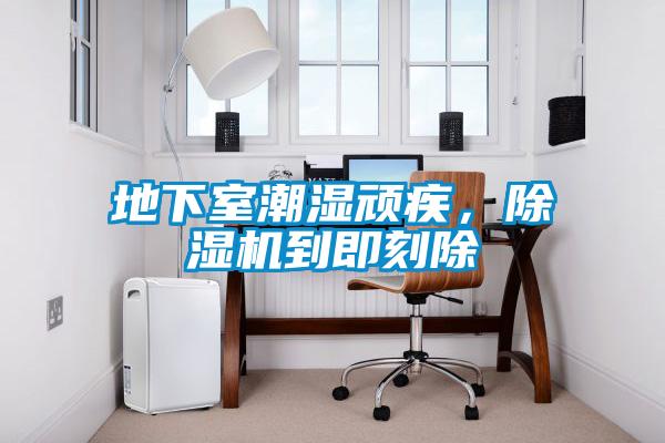 地下室潮湿顽疾，91抖音免费看片到即刻除