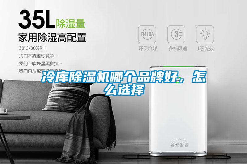 冷库91抖音免费看片哪个品牌好，怎么选择