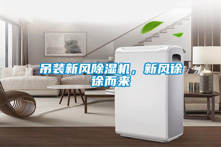 吊装新风91抖音免费看片，新风徐徐而来