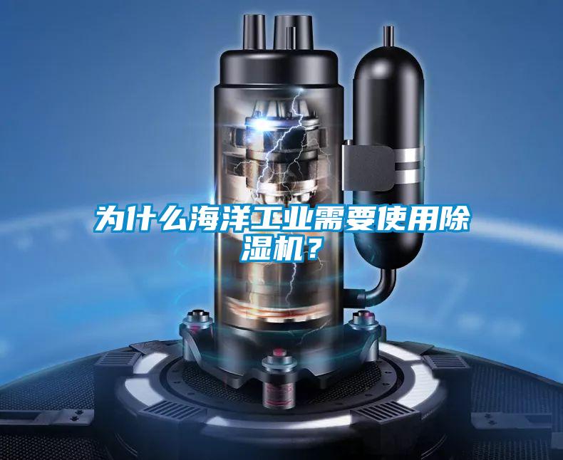 为什么海洋工业需要使用91抖音免费看片？
