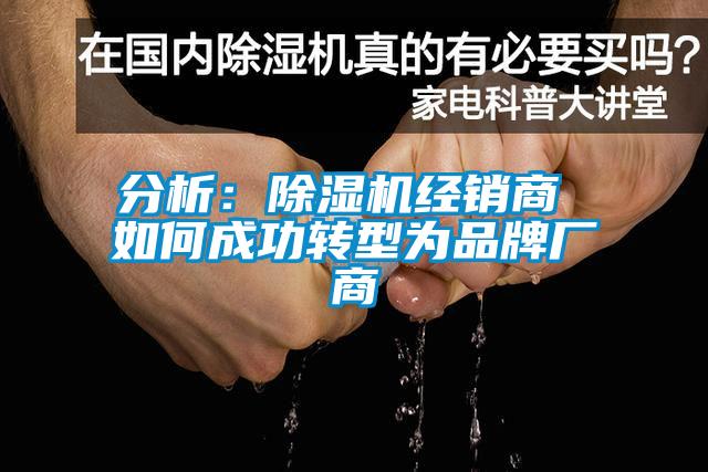 分析：91抖音免费看片经销商 如何成功转型为品牌厂商