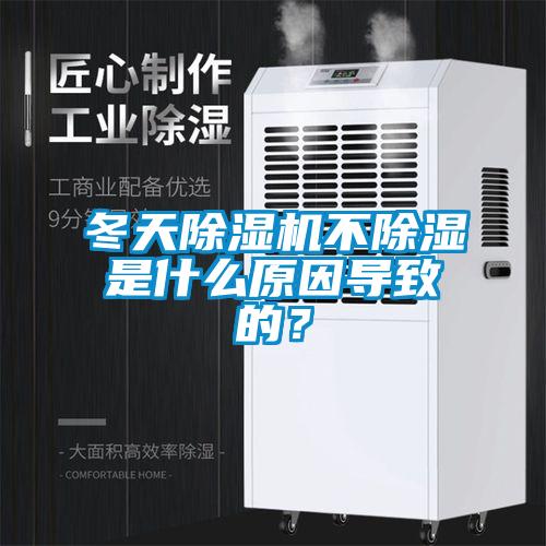 冬天91抖音免费看片不除湿是什么原因导致的？