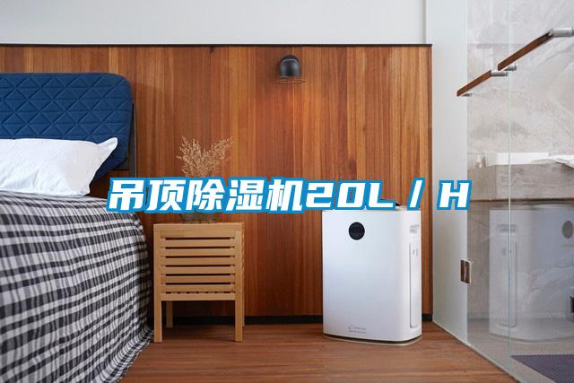 吊顶91抖音免费看片20L／H